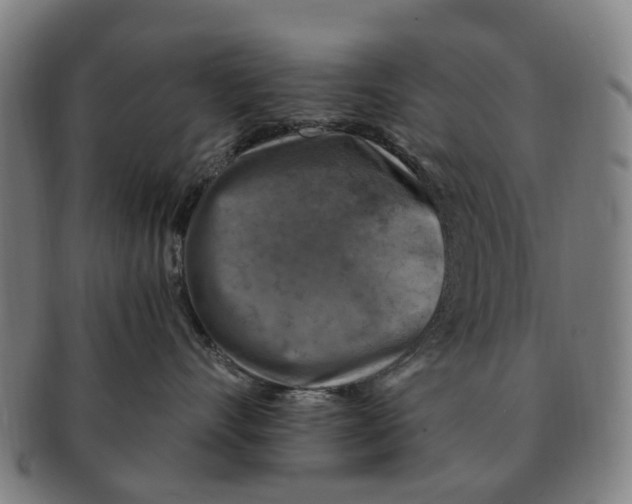 X0000091010528200708301400