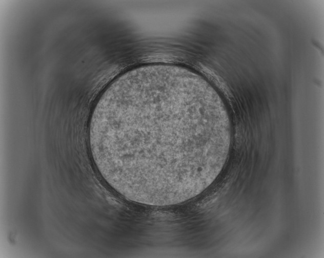 X0000091010529200708301400