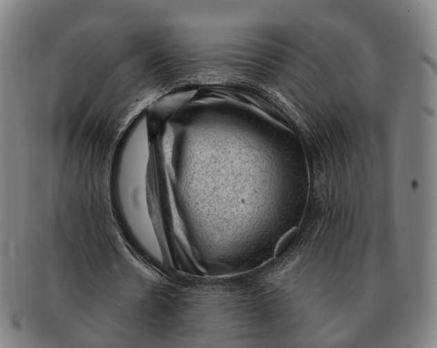 X0000091010530200708301400