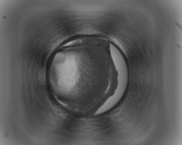 X0000091010531200708301400