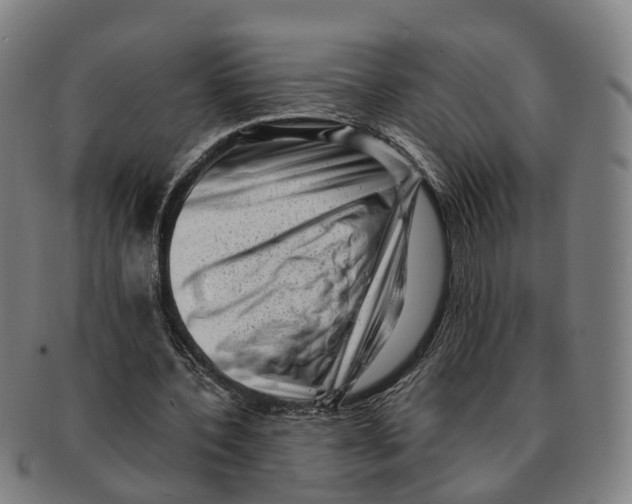 X0000091010532200708301400