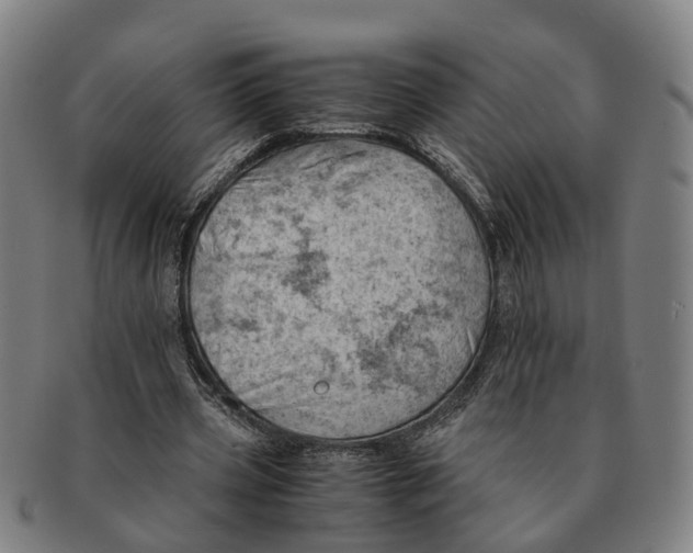 X0000091010533200708301400