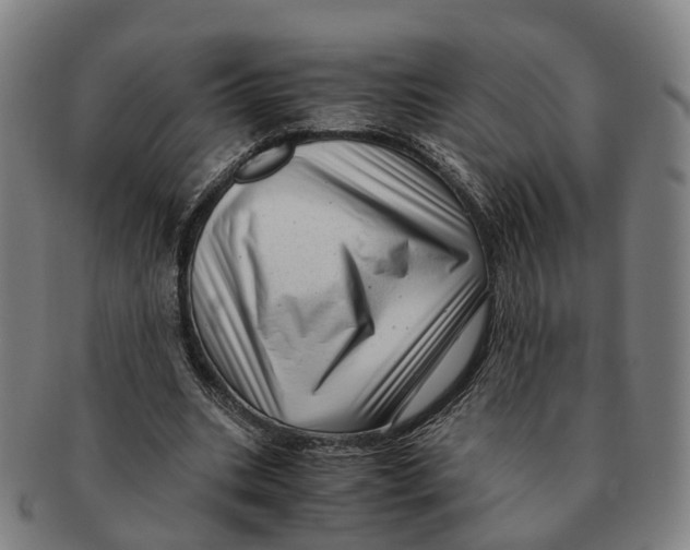 X0000091010535200708301400