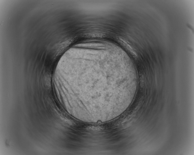 X0000091010537200708301400