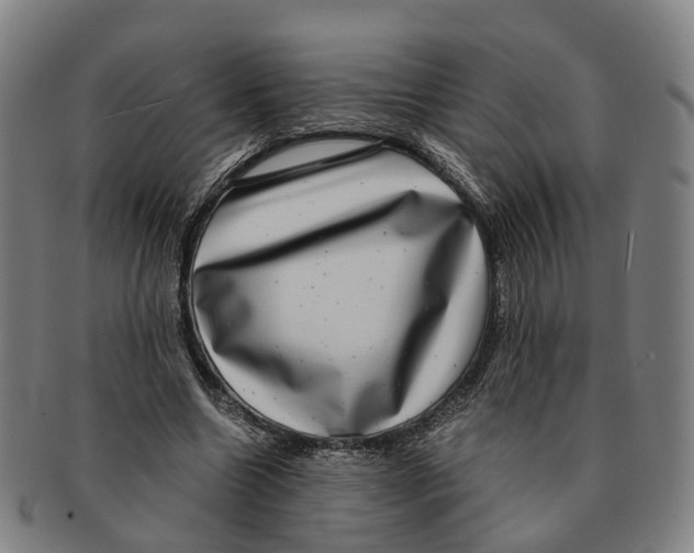 X0000091010538200708301400