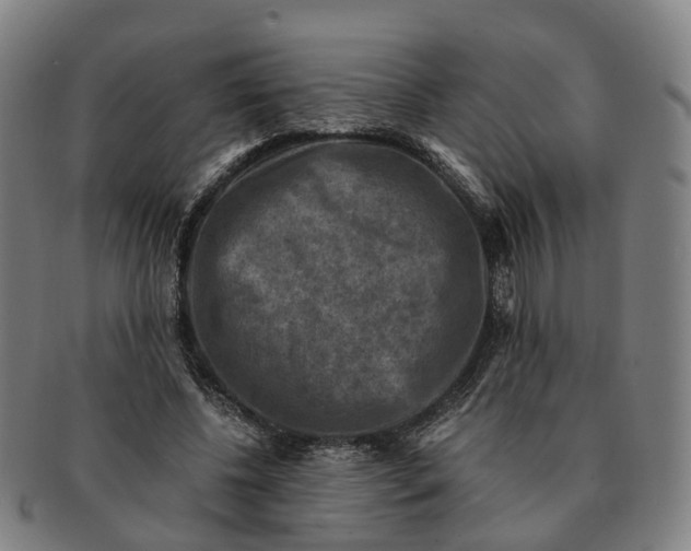 X0000091010540200708301400