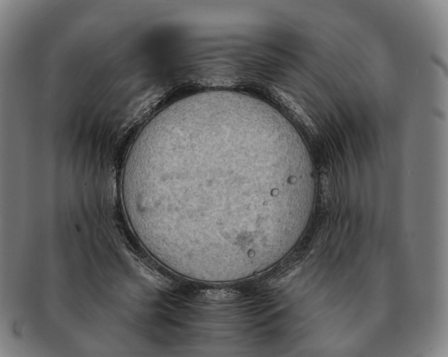 X0000091010541200708301400