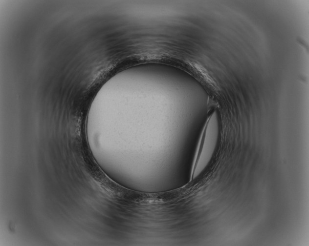 X0000091010543200708301400