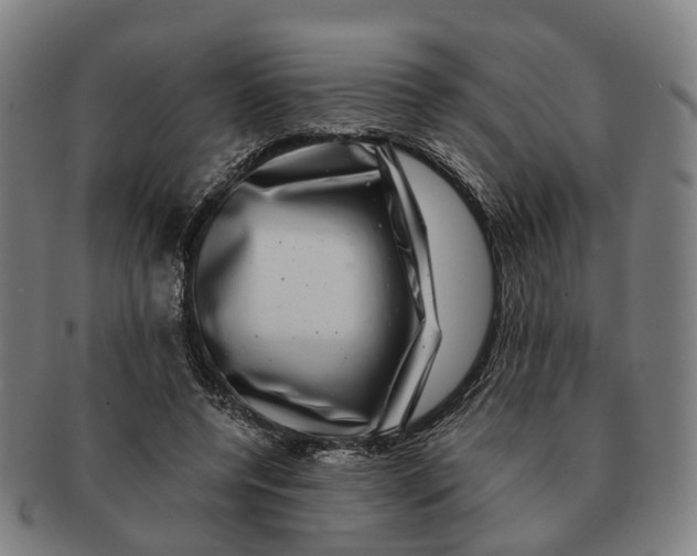 X0000091010544200708301400