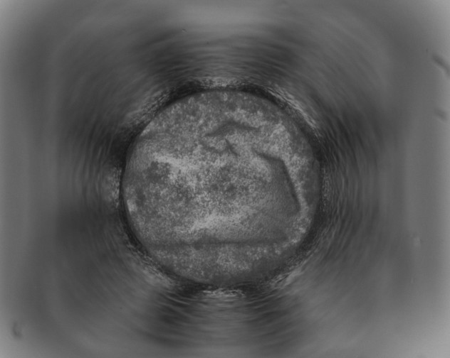 X0000091010545200708301400