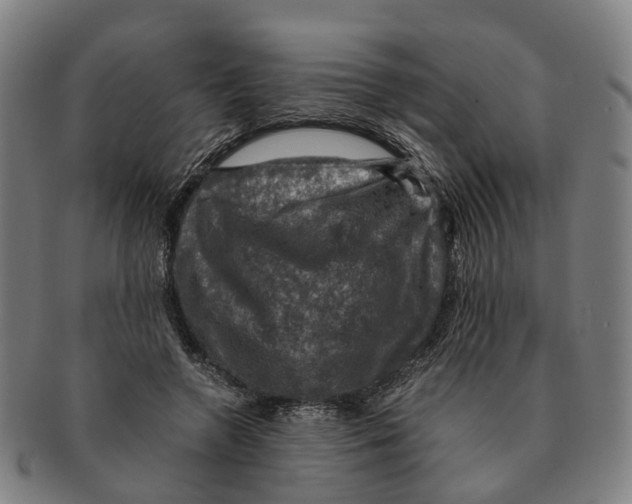 X0000091010546200708301400