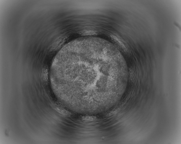 X0000091010549200708301400