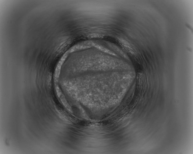 X0000091010550200708301400