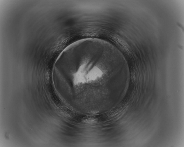 X0000091010551200708301400