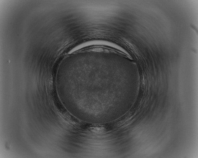 X0000091010552200708301400