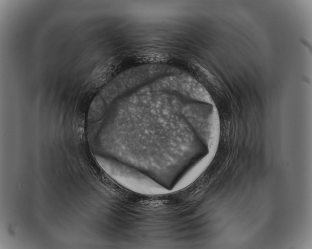 X0000091010553200708301400