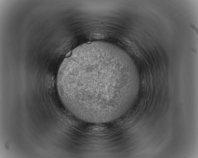 X0000091010555200708301400