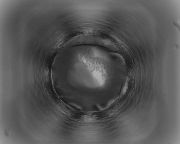 X0000091010556200708301400