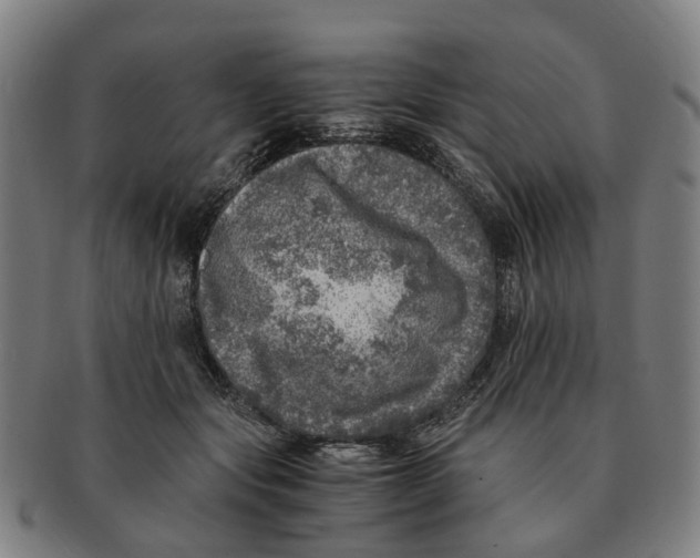 X0000091010557200708301400