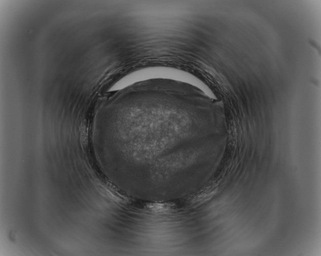 X0000091010558200708301400