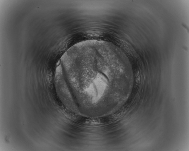 X0000091010559200708301400