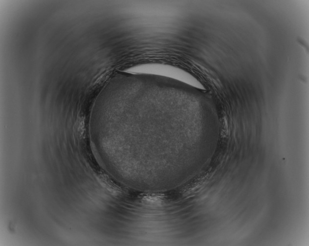 X0000091010560200708301400