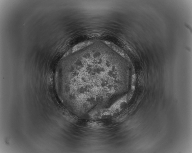 X0000091010561200708301400