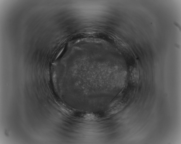 X0000091010562200708301400