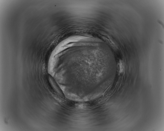 X0000091010564200708301400