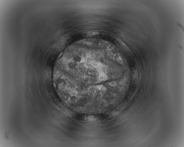 X0000091010565200708301400