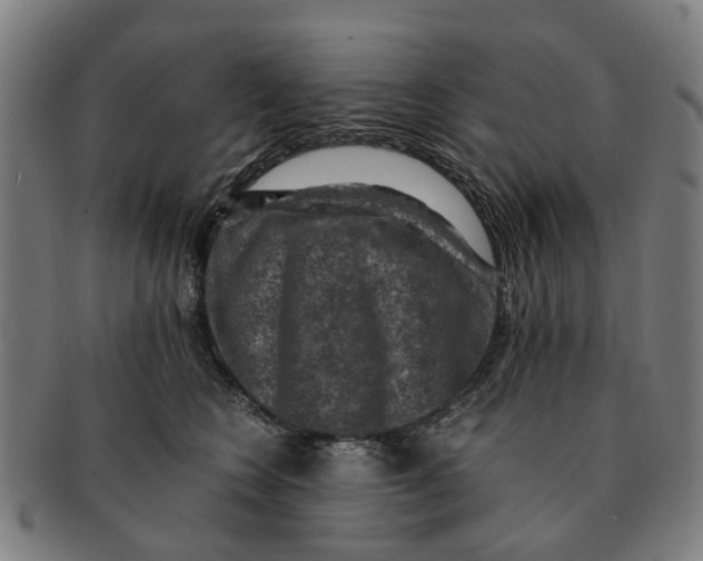 X0000091010566200708301400