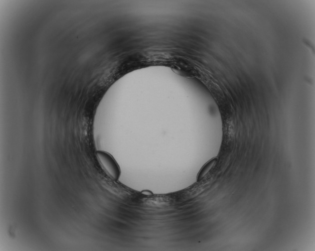 X0000091010567200708301400