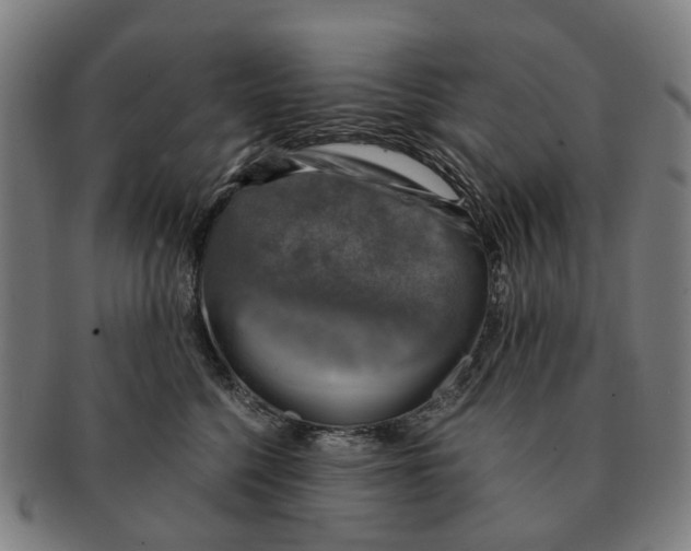 X0000091010568200708301400