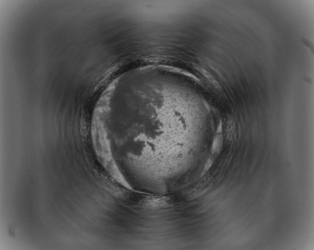 X0000091010569200708301400