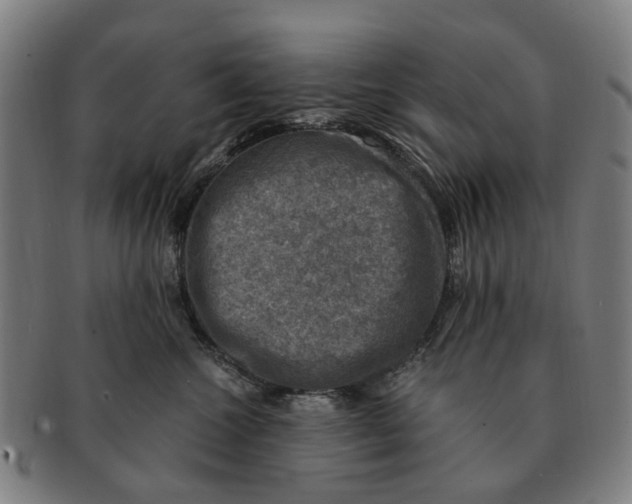 X0000091010572200708301400