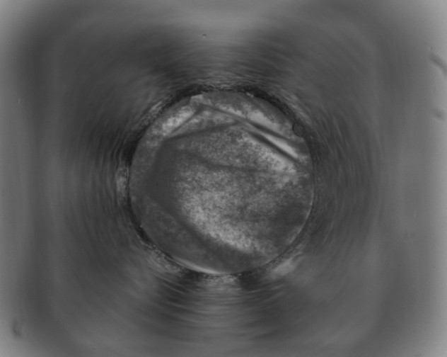 X0000091010576200708301400