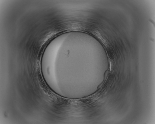 X0000091010579200708301400