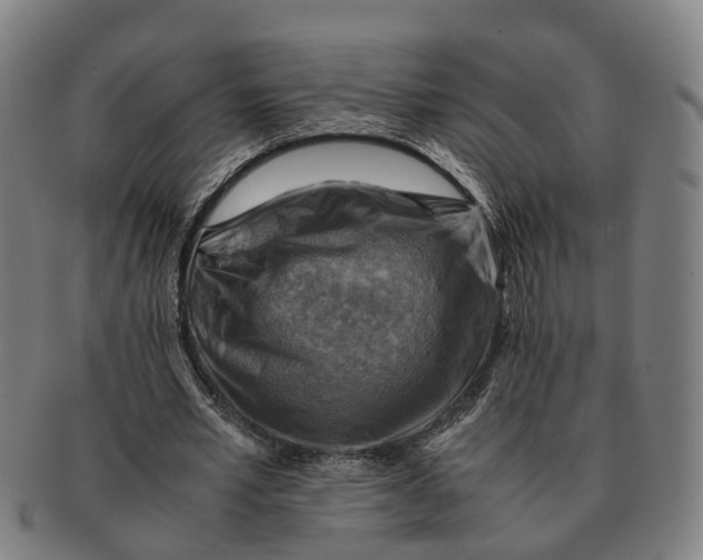 X0000091010581200708301400