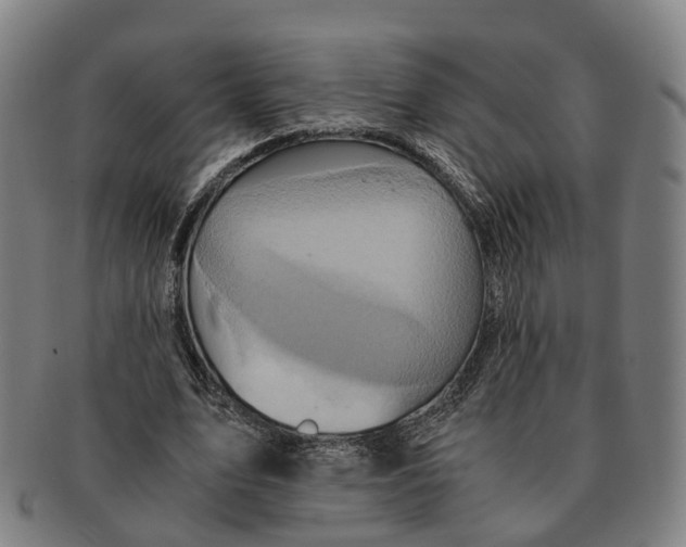 X0000091010583200708301400