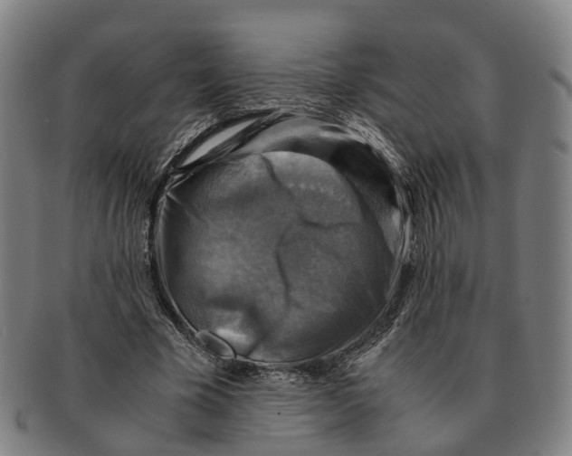 X0000091010585200708301400