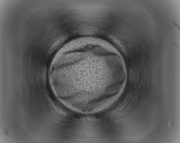 X0000091010586200708301359