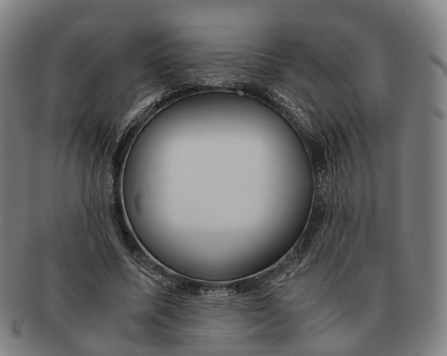 X0000091010587200708301359