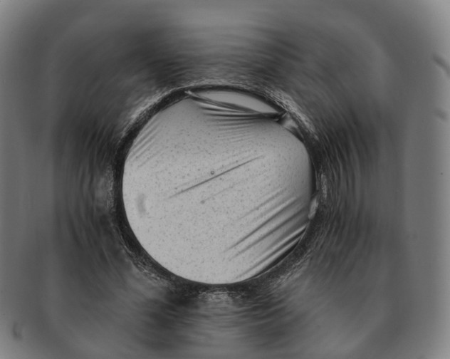 X0000091010588200708301359