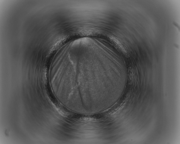 X0000091010590200708301359