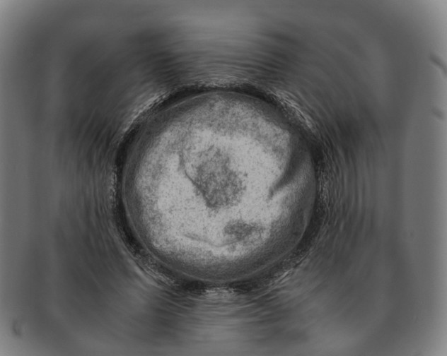 X0000091010591200708301359