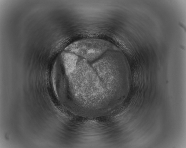 X0000091010594200708301359