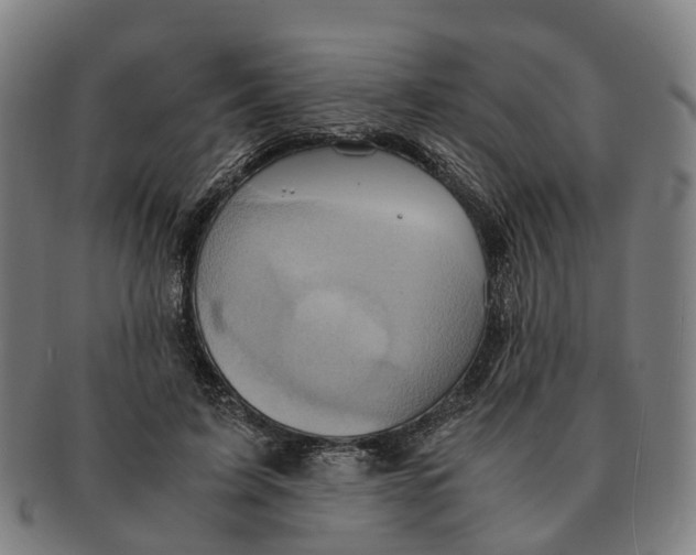 X0000091010595200708301359