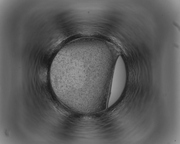 X0000091010596200708301359