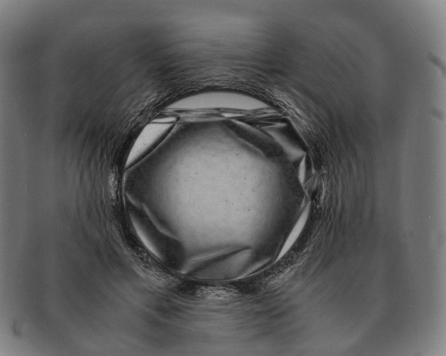 X0000091010597200708301359