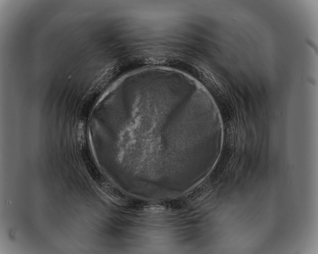 X0000091010598200708301359